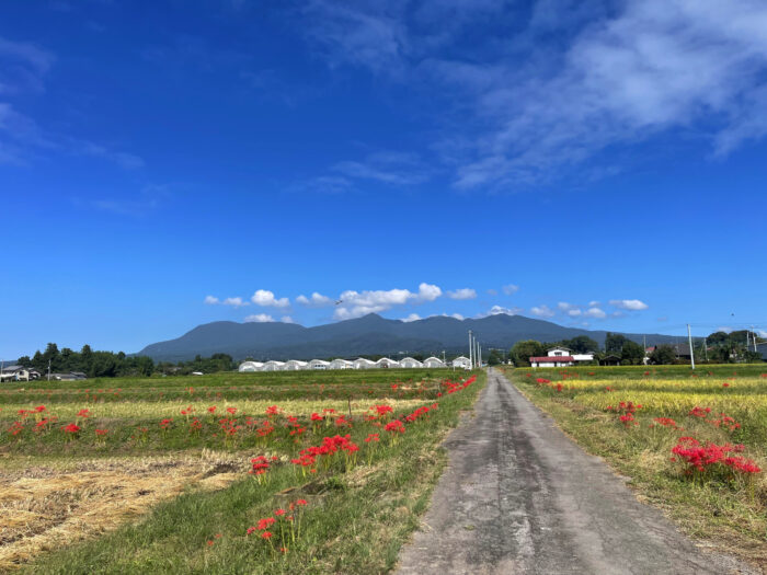 10月1日(火)　AM 10:44　前橋市苗ケ島町