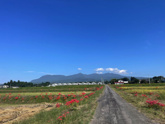 10月2日(水)　AM 9:28　前橋市苗ケ島町