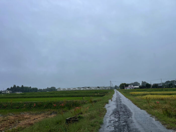 10月9日(水)　AM 9:11　前橋市苗ケ島町