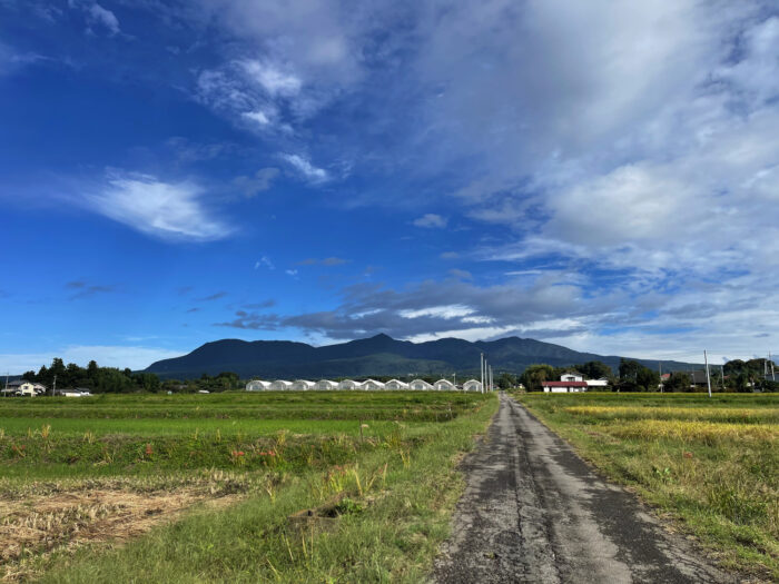 10月10日(木)　AM 8:21　前橋市苗ケ島町