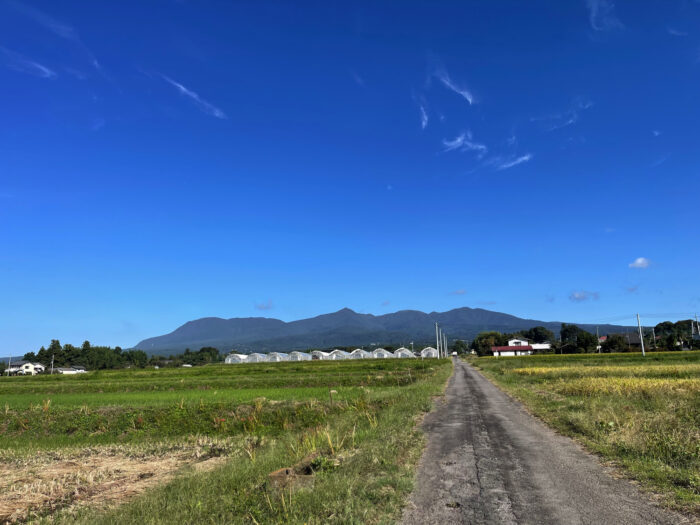 10月11日(金)　AM 8:42　前橋市苗ケ島町