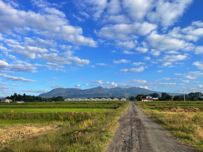 10月14日(月)　AM 7:01　前橋市苗ケ島町