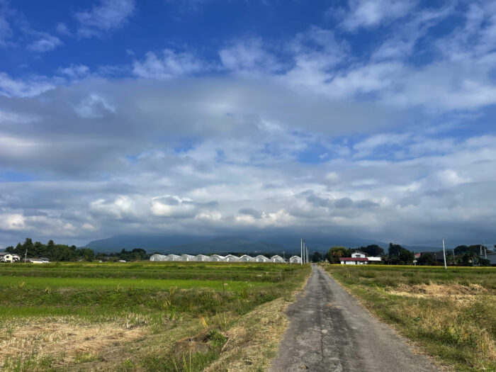 10月17日(木)　AM 9:14　前橋市苗ケ島町