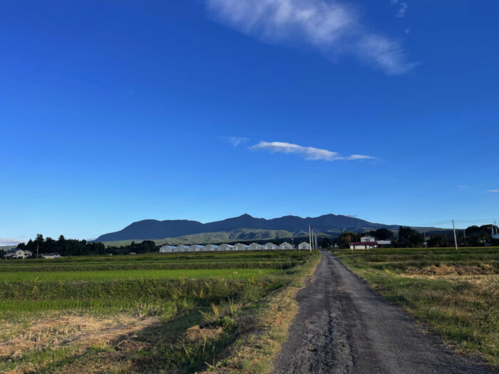 10月20日(日)　AM 6:56　前橋市苗ケ島町