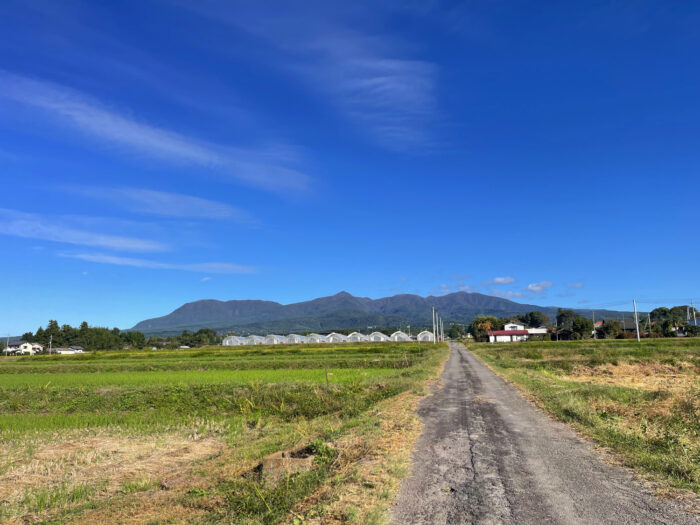 10月21日(月)　AM 8:24　前橋市苗ケ島町