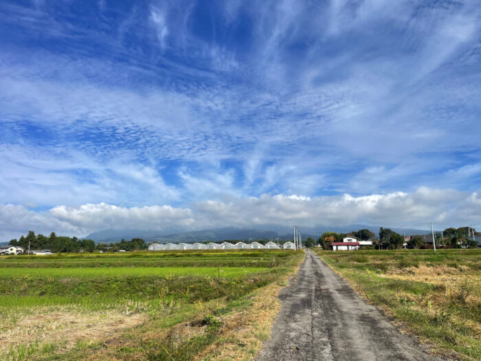 10月24日(木)　AM 9:04　前橋市苗ケ島町