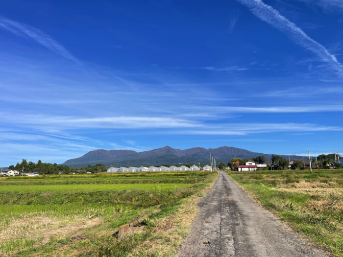 10月31日(木) AM 8:46 前橋市苗ケ島町