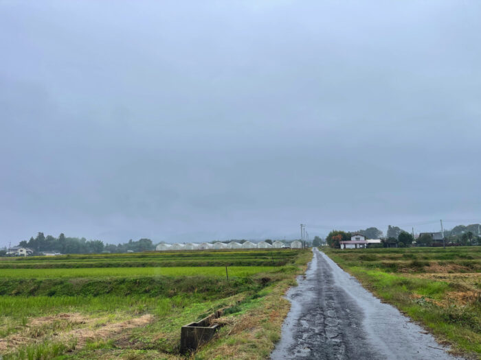 11月2日(土)　AM 9:28　前橋市苗ケ島町