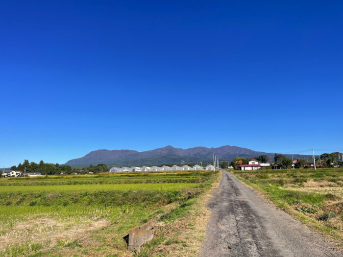 11月8日(金)　AM 9:03　前橋市苗ケ島町