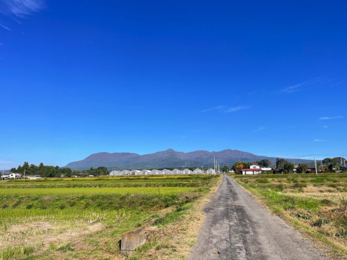 11月9日(土)　AM 9:22　前橋市苗ケ島町