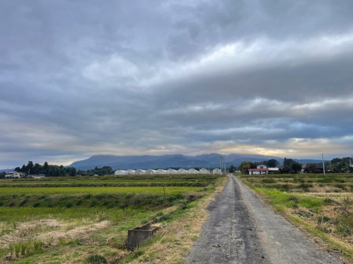 11月10日(日)　AM 6:53　前橋市苗ケ島町