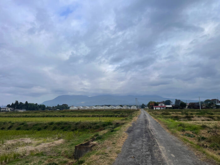 11月14日(木)　AM 8:33　前橋市苗ケ島町