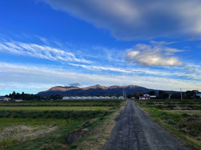 11月18日(月)　AM 7:13　前橋市苗ケ島町