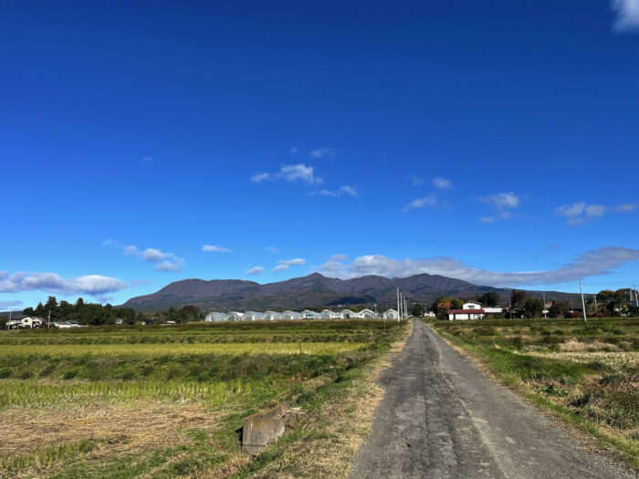 11月19日(火)　AM 9:15　前橋市苗ケ島町