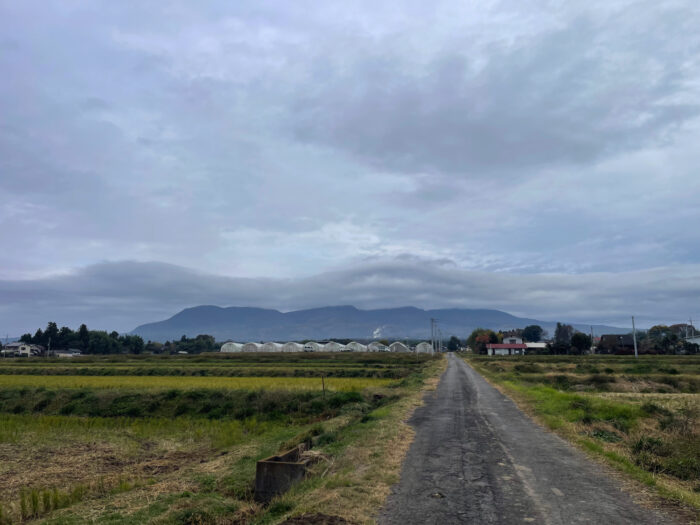 11月20日(水)　AM 9:05　前橋市苗ケ島町