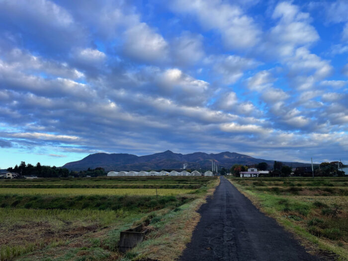 11月21日(木)　AM 7:13　前橋市苗ケ島町