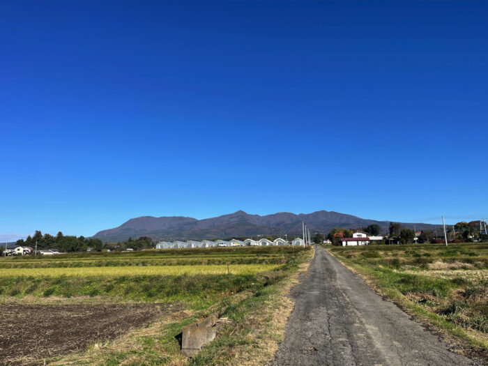 11月22日(金)　AM 9:03　前橋市苗ケ島町