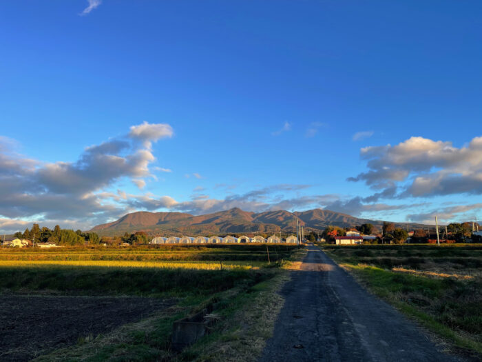 11月24日(日)　AM 6:53　前橋市苗ケ島町