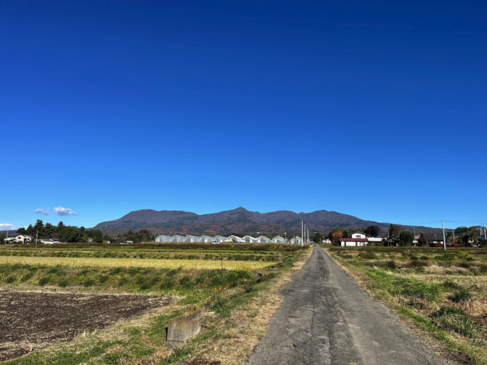 11月29日(金)　AM 9:30　前橋市苗ケ島町