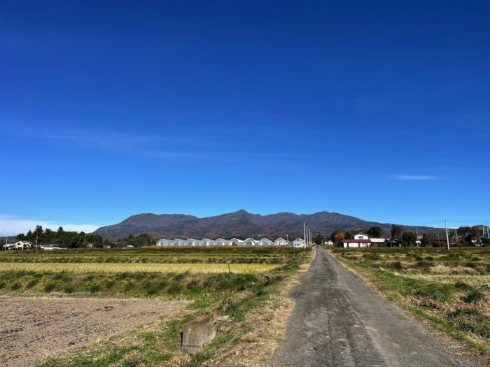 11月29日(金)　AM 9:39　前橋市苗ケ島町