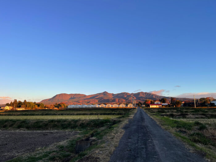 11月30日(土) AM 6:47 前橋市苗ケ島町