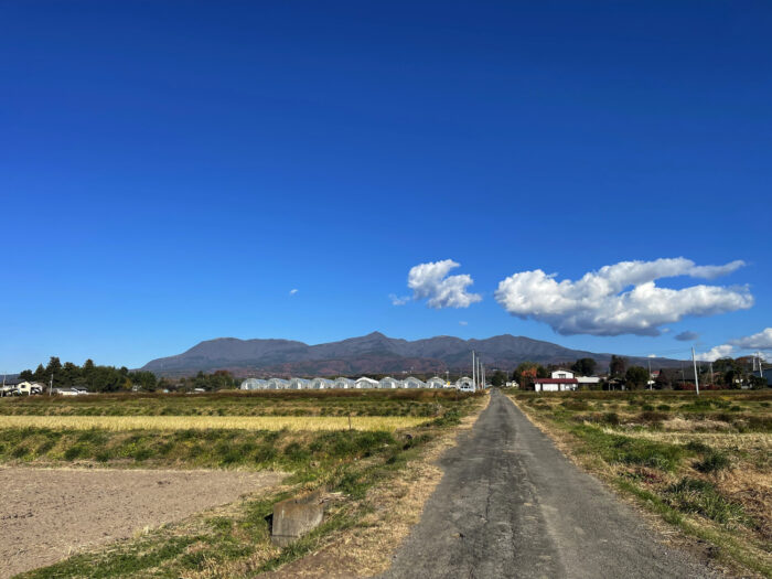 12月2日(月)　AM 9:15　前橋市苗ケ島町