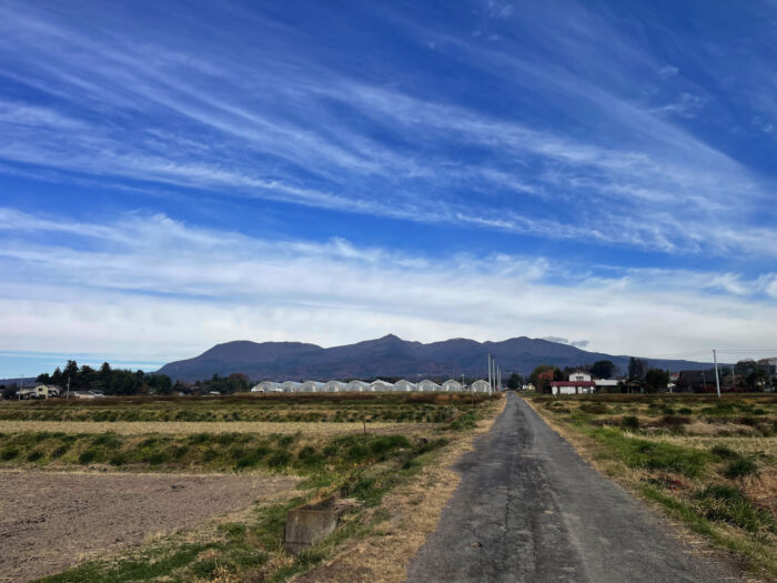 12月4日(水)　AM 9:29　前橋市苗ケ島町