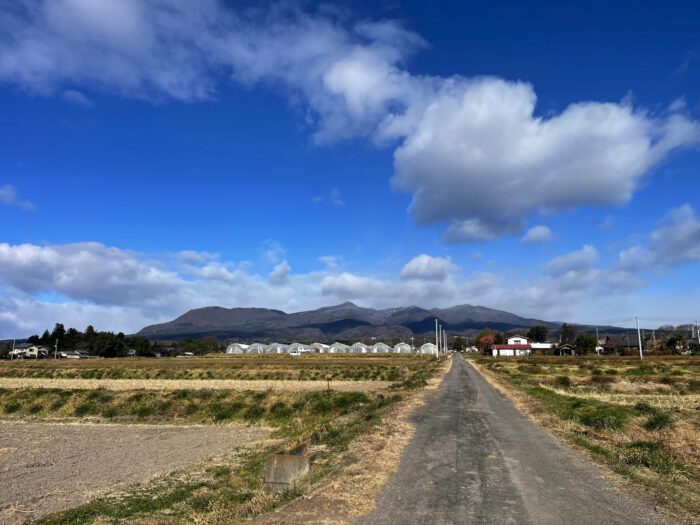 12月12日(木)　AM 10:30　前橋市苗ケ島町