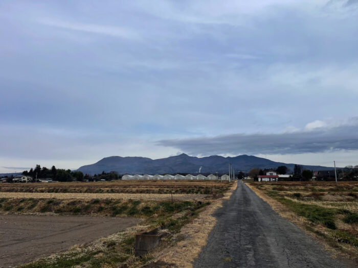 1月12日(日) AM 9:17 前橋市苗ケ島町