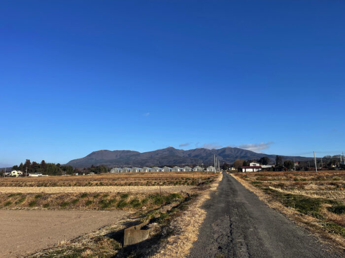 2月1日(土)　AM 8:11　前橋市苗ケ島町