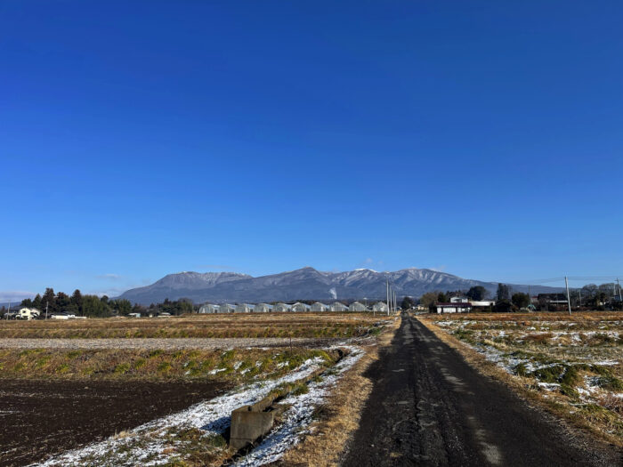 3月9日(日)　AM 8:08　前橋市苗ケ島町