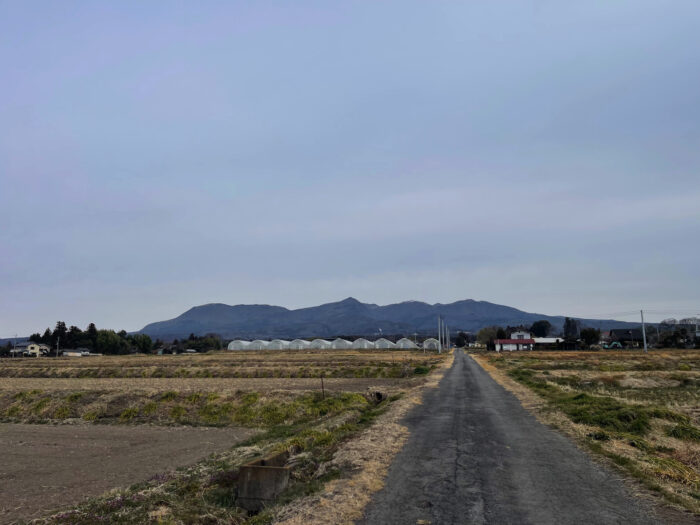 3月15日(土)　AM 8:12　前橋市苗ケ島町
