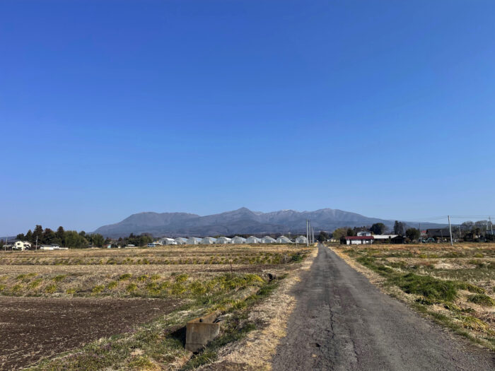 3月22日(土)　AM 8:14　前橋市苗ケ島町