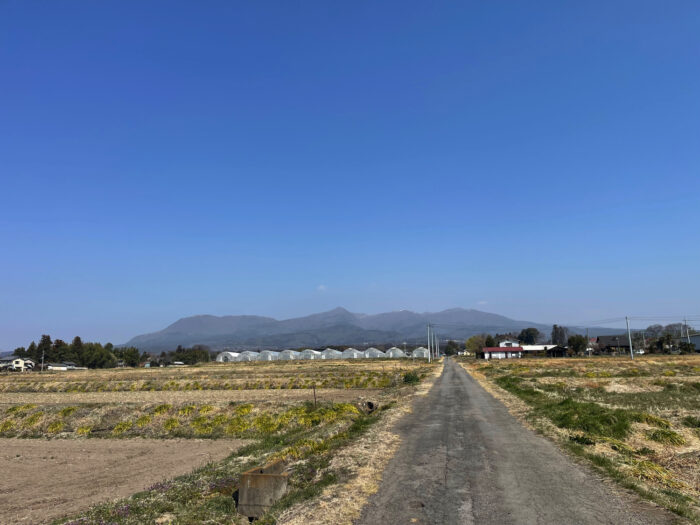 3月23日(日)　AM 9:51　前橋市苗ケ島町