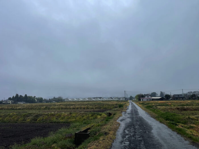 3月29日(土)　AM 9:32　前橋市苗ケ島町
