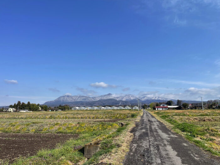 3月30日(日)　AM 8:33　前橋市苗ケ島町
