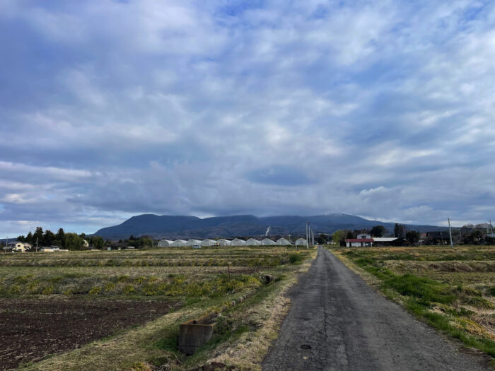 3月31日(月)　AM 7:01　前橋市苗ケ島町