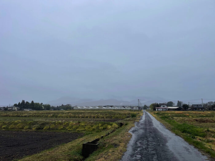 4月2日(水)　AM 8:00　前橋市苗ケ島町