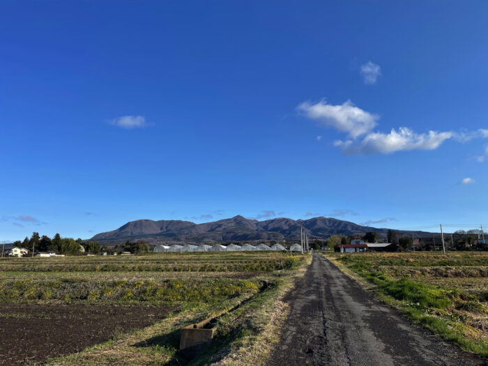 4月4日(金)　AM 7:01　前橋市苗ケ島町