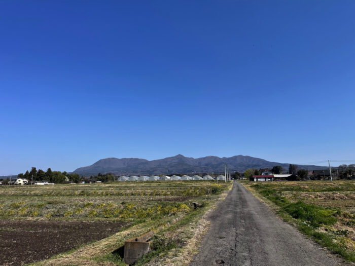 4月5日(土)　AM 8:14　前橋市苗ケ島町