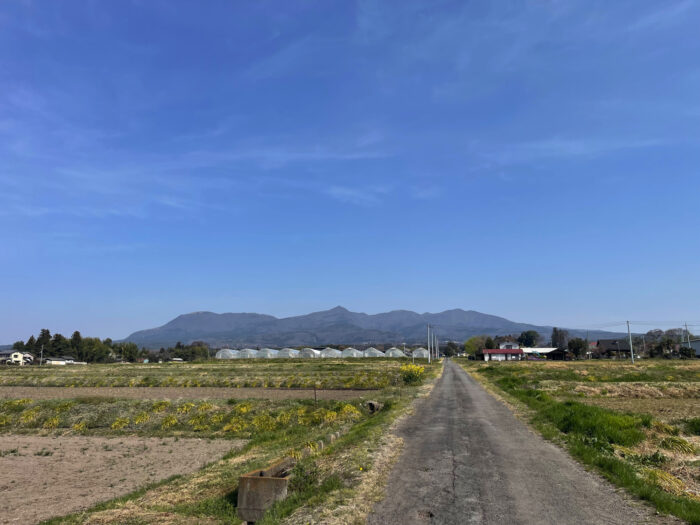 4月8日(火)　AM 8:56　前橋市苗ケ島町