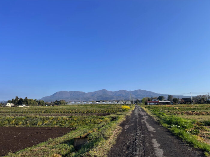 4月12日(土)　AM 6:57　前橋市苗ケ島町