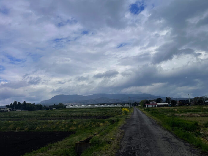4月15日(火)　AM 10:03　前橋市苗ケ島町
