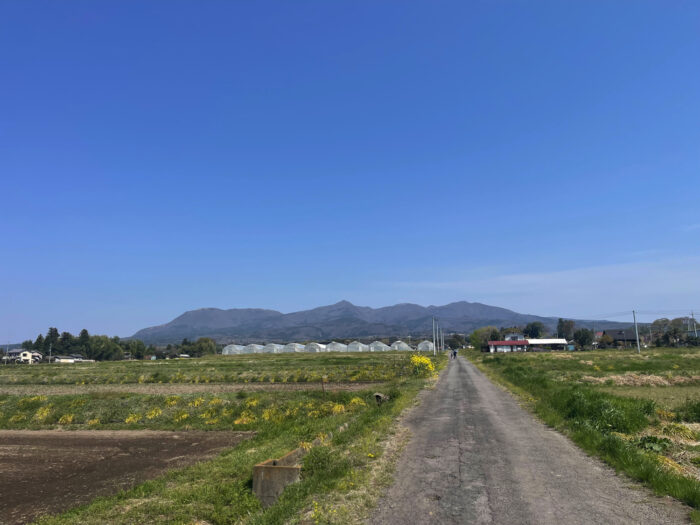 4月17日(木)　AM 9:28　前橋市苗ケ島町