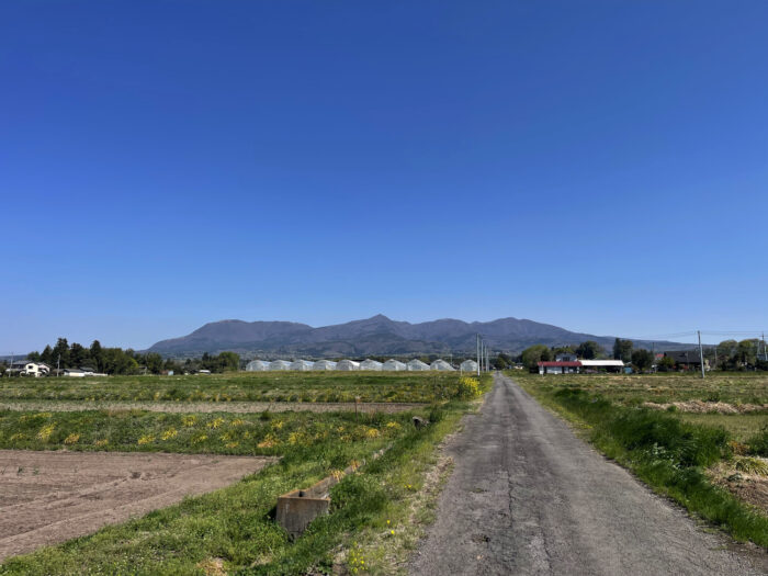 4月21日(月)　AM 8:58　前橋市苗ケ島町