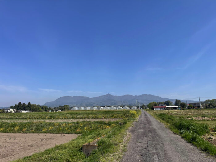 4月22日(火)　AM 8:41　前橋市苗ケ島町