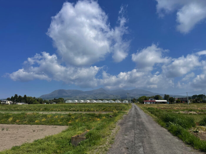 4月26日(土)　AM 9:26　前橋市苗ケ島町