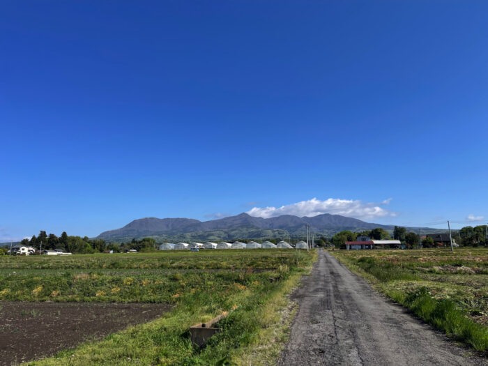 4月29日(火)　AM 8:03　前橋市苗ケ島町