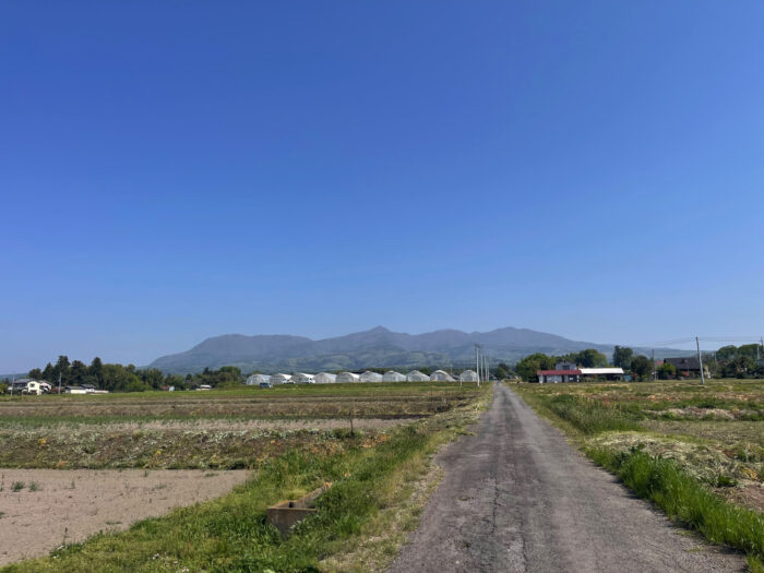 5月1日(木)　AM 8:46　前橋市苗ケ島町