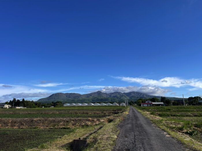 5月11日(日)　AM 6:53　前橋市苗ケ島町